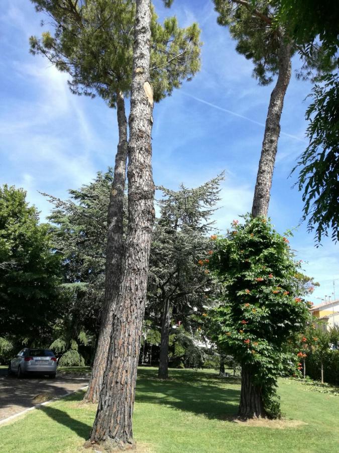 B&B Villa Lupidi Corridonia Zewnętrze zdjęcie