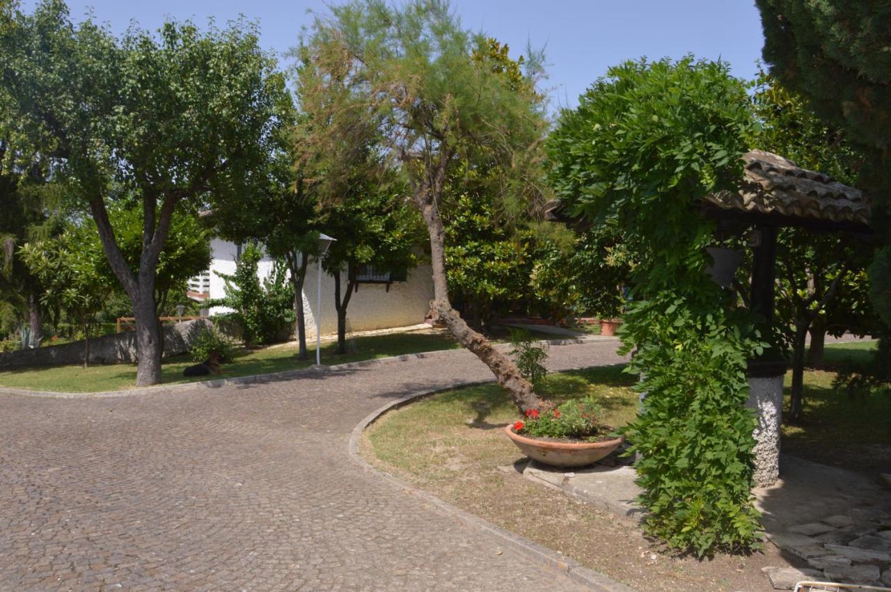 B&B Villa Lupidi Corridonia Zewnętrze zdjęcie