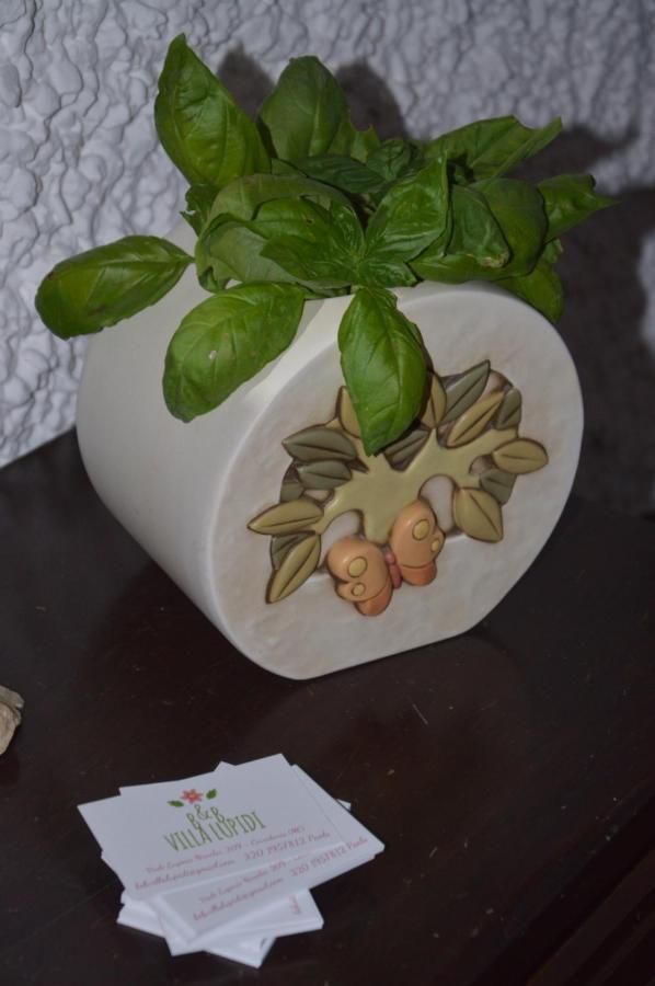 B&B Villa Lupidi Corridonia Zewnętrze zdjęcie