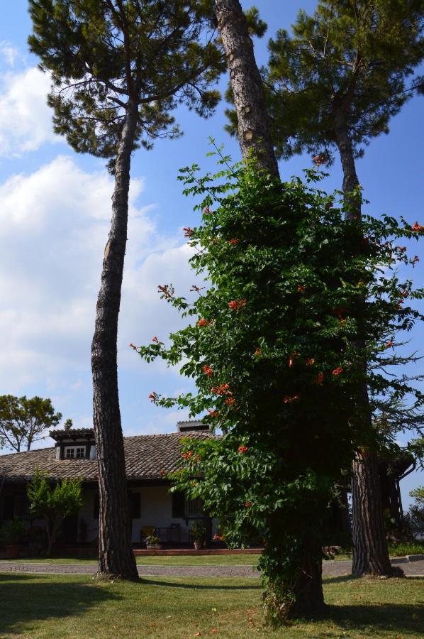 B&B Villa Lupidi Corridonia Zewnętrze zdjęcie