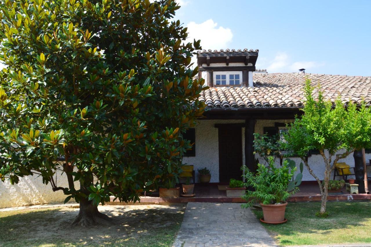 B&B Villa Lupidi Corridonia Zewnętrze zdjęcie