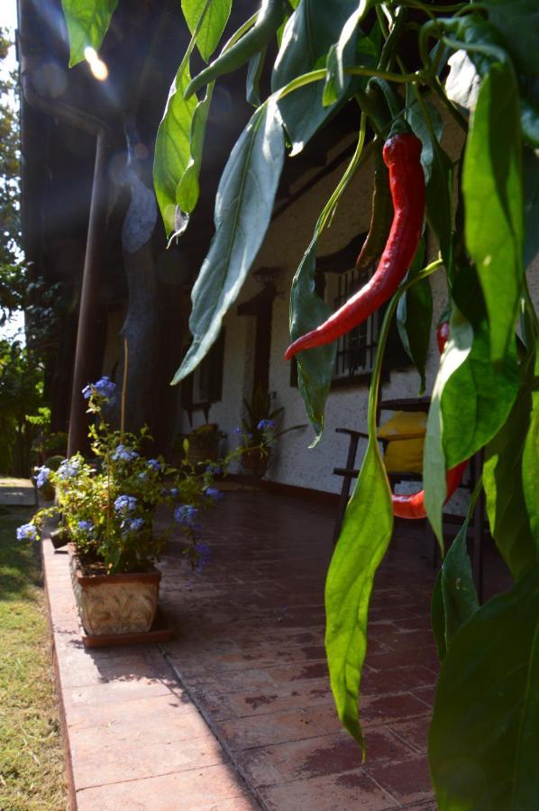 B&B Villa Lupidi Corridonia Zewnętrze zdjęcie