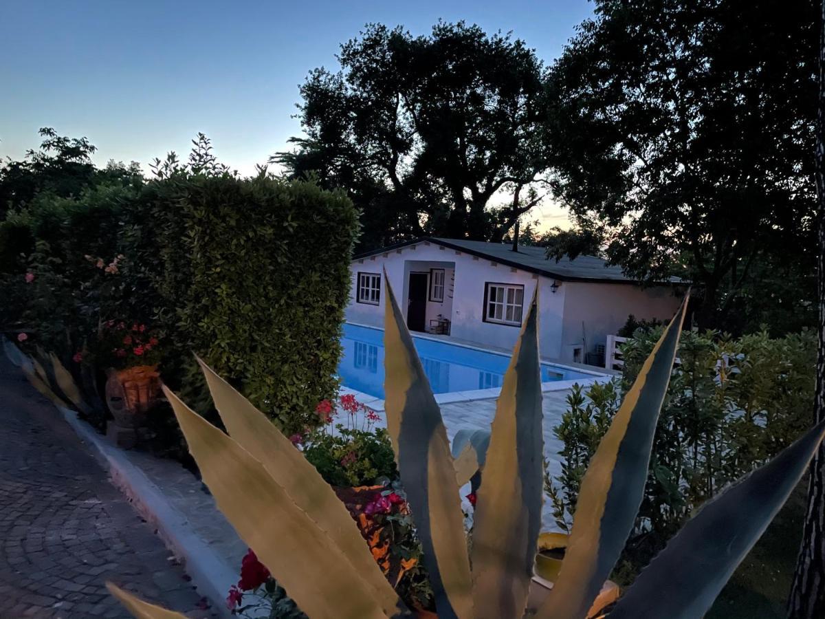 B&B Villa Lupidi Corridonia Zewnętrze zdjęcie