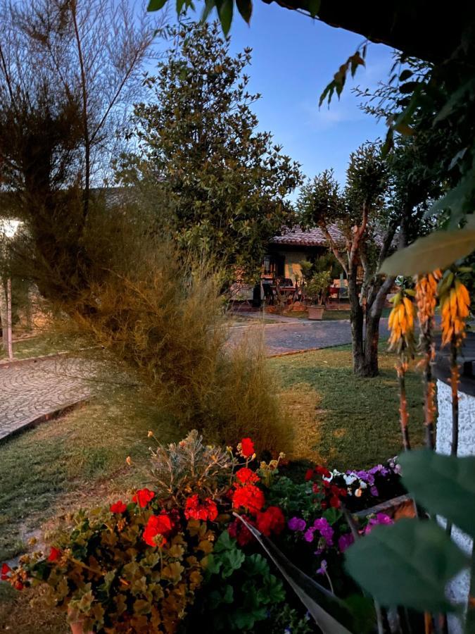 B&B Villa Lupidi Corridonia Zewnętrze zdjęcie
