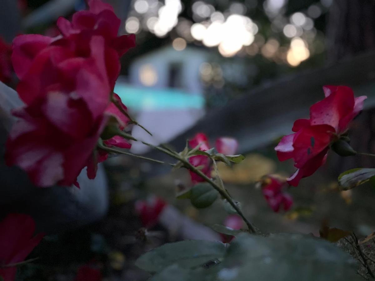 B&B Villa Lupidi Corridonia Zewnętrze zdjęcie
